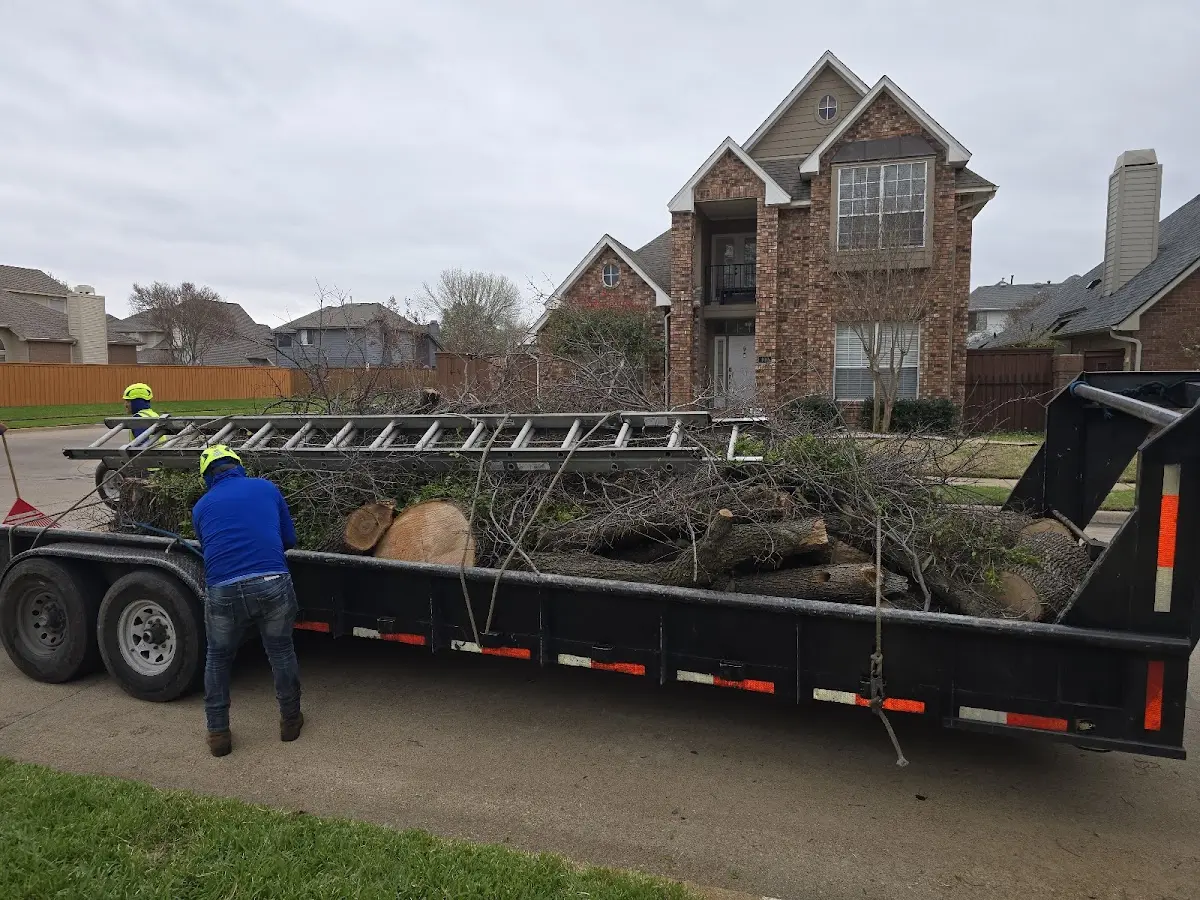 Expert Tree Fertilization with proper safety equipment in Harriet